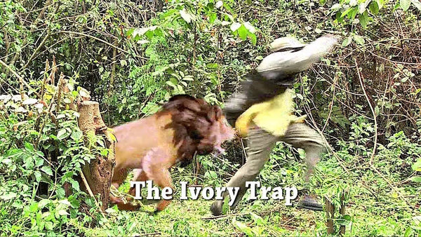 NEW MOVIE! The Ivory Trap! Signed DVD